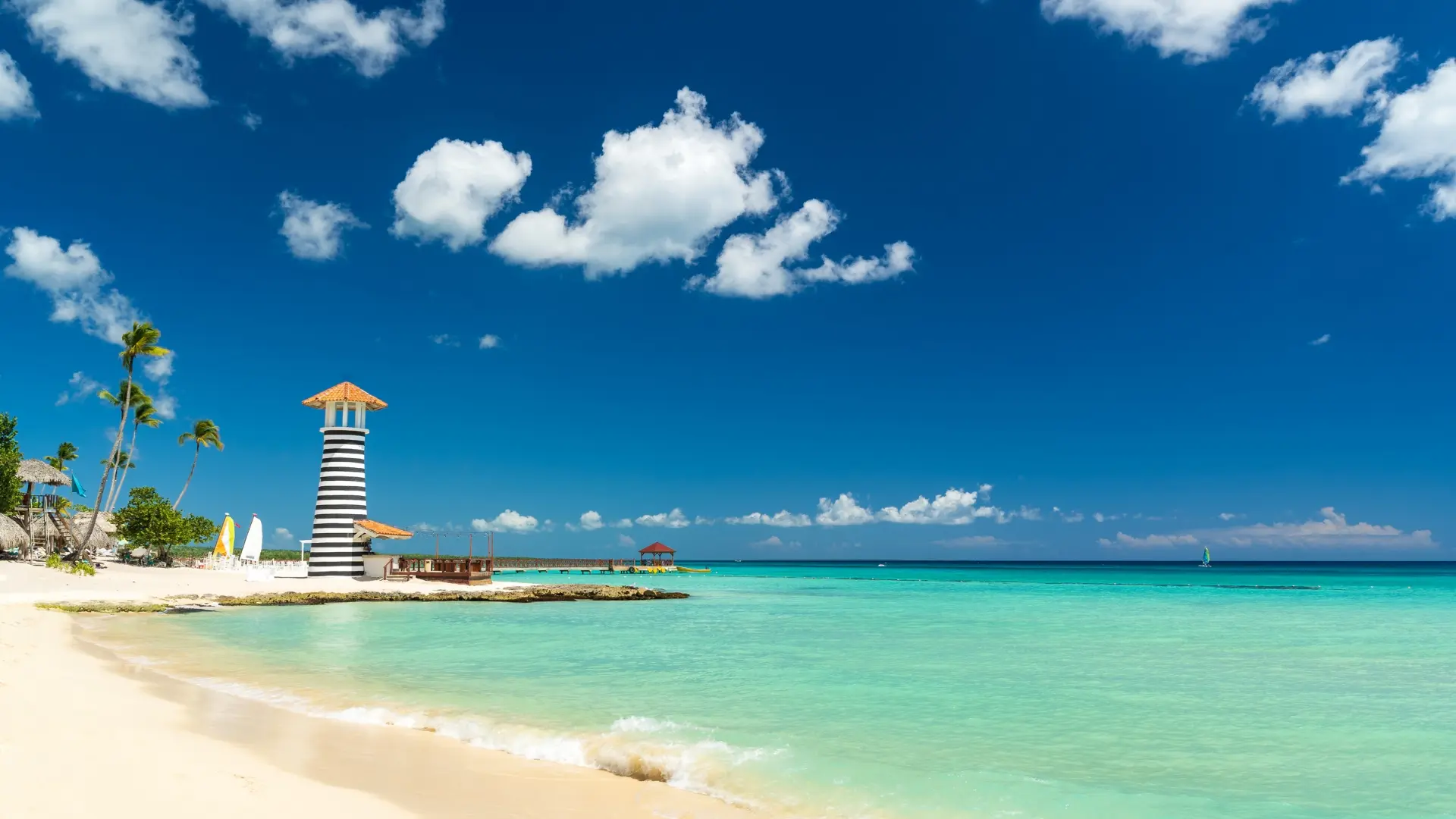 VIVA DOMINICANA
